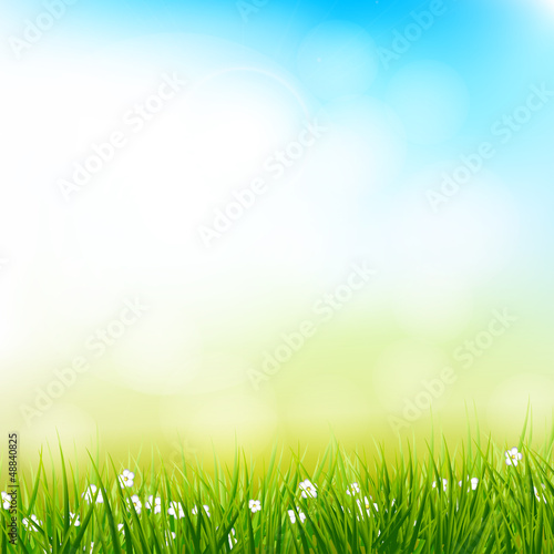 Spring background