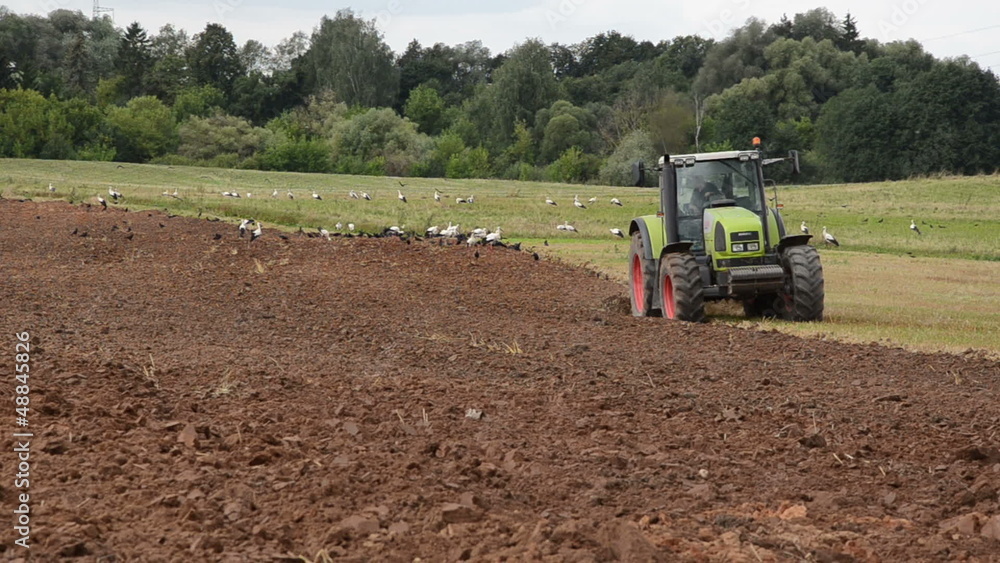 agriculture machinery plow field stork look food agriculture machinery plow field stork look food