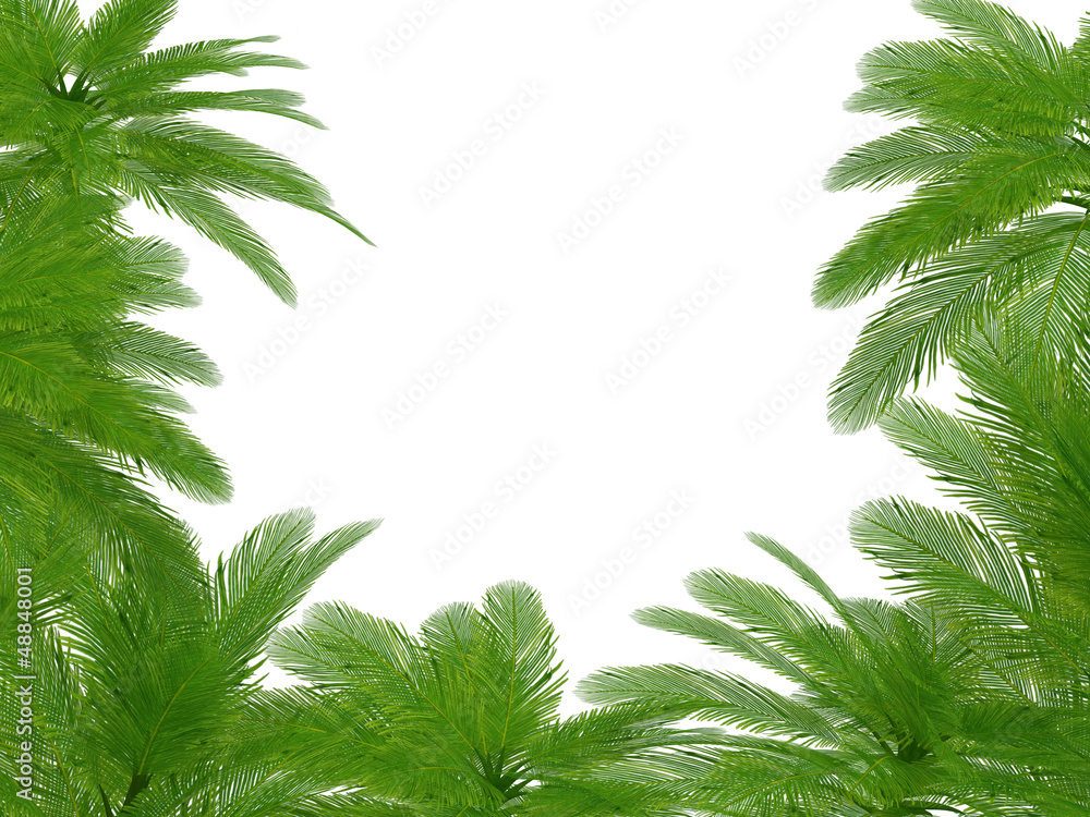 Fototapeta premium Palm trees und hibiscus flowers frame