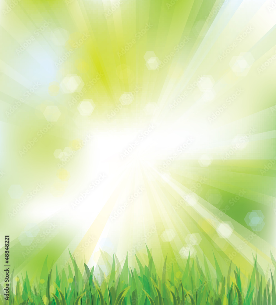 Vector of sky background  with grass for spring design