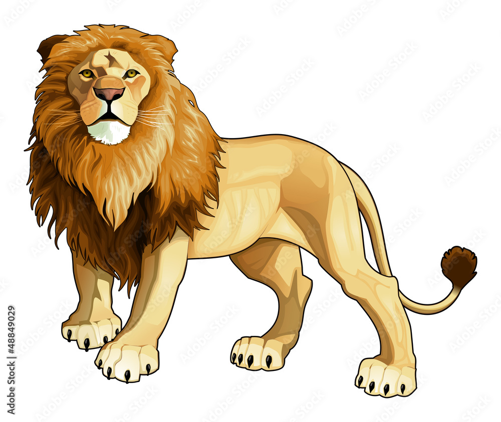 Obraz premium Lion king.