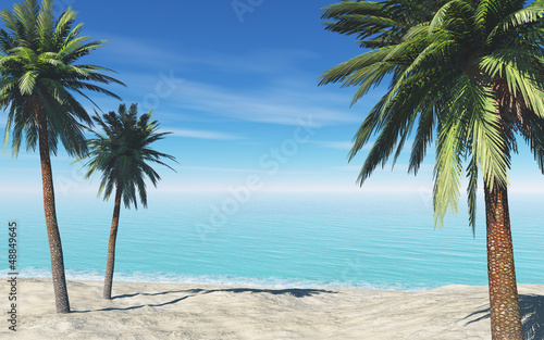 Fototapeta Naklejka Na Ścianę i Meble -  palms on the beach