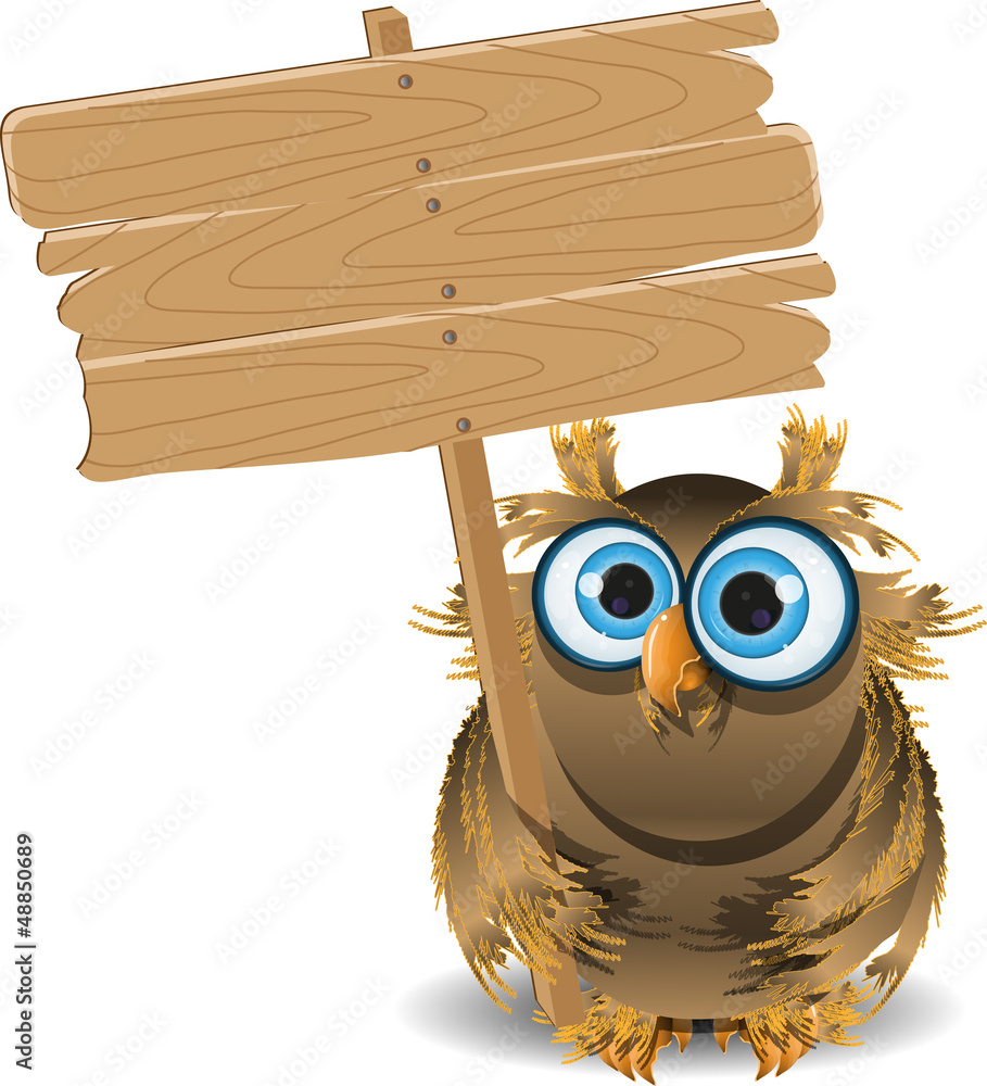 Fototapeta premium owl and a wooden plaque