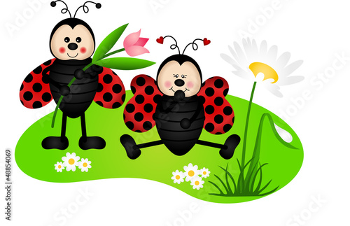 Two cute ladybugs in garden