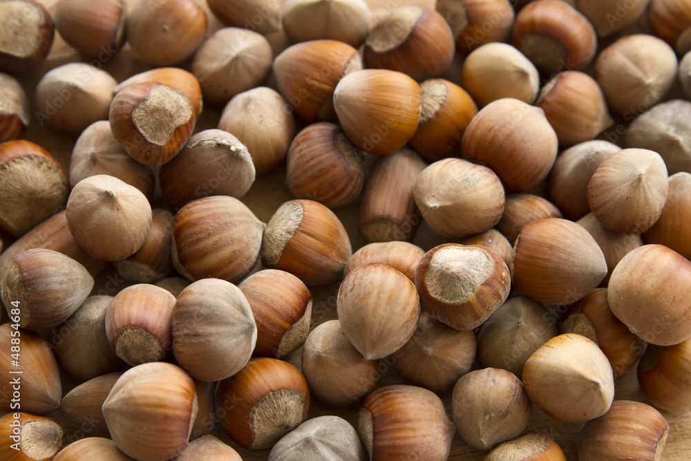 hazelnuts hazelnuts