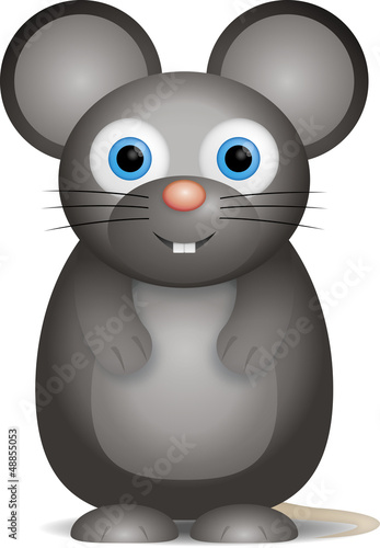 kleine schwarze Maus