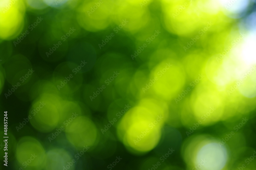 Obraz premium green bokeh