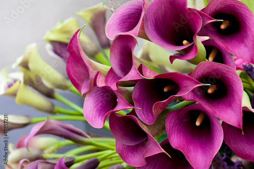 Canvas Print Beautiful bouquet of calla lilies.