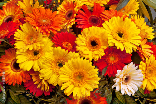 Bouquet of red and yellow gerberas.