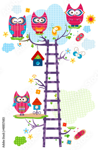 owl`s tree