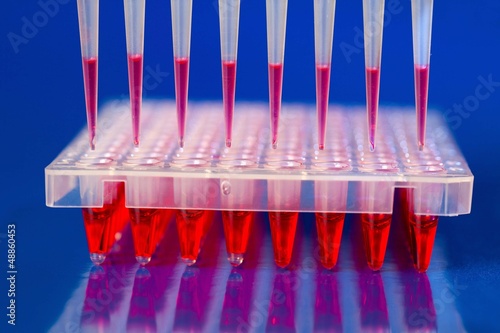 DNA analysis: loading reaction mixture into 96-well plate with m photo