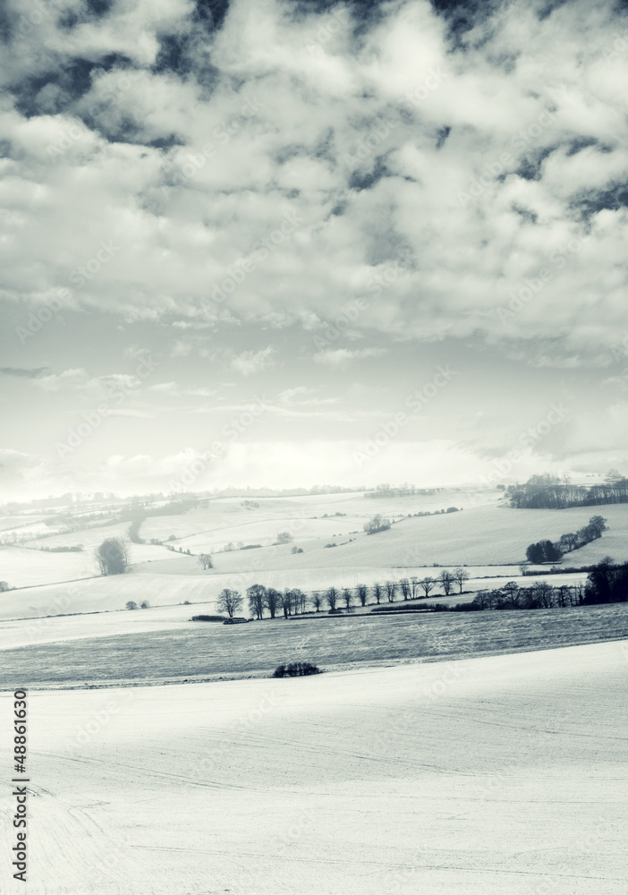 cloudy snow fields