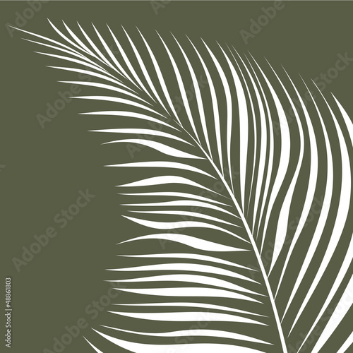 palm leaf.eps