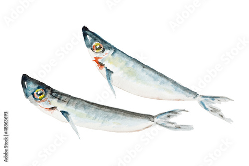 small dead saltwater fish