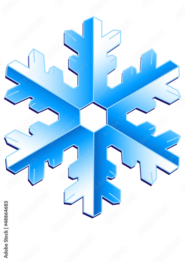 flocon de neige flocon de neige
