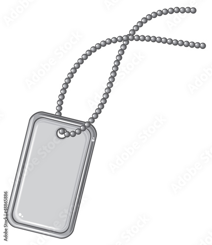 blank metallic identification plate