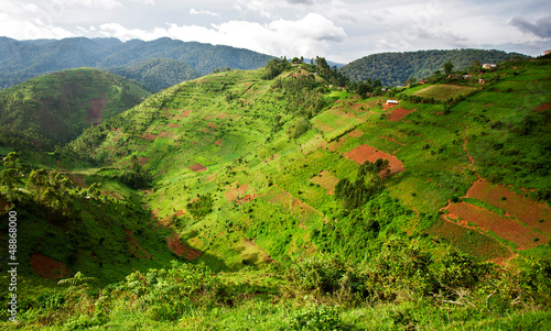 Landscape in southwestern Uganda, at the Bwindi Impenetrable Forest National Park, at the borders of Uganda, Congo and Rwanda. The Bwindi National Park is the home of the mountain gorillas.