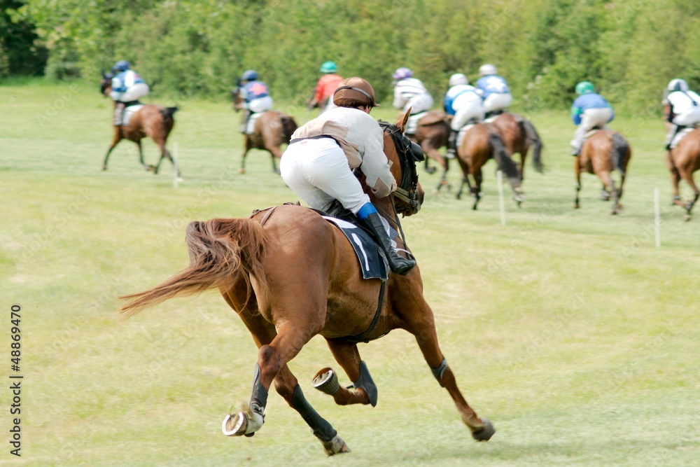 Course hippique #46 Course hippique #46