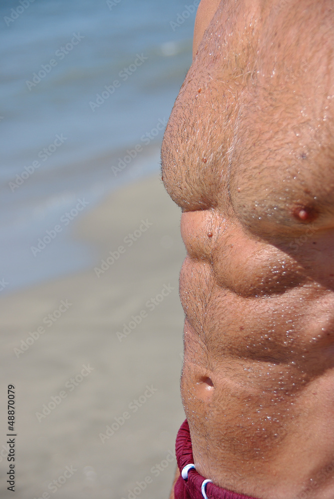 Fototapeta premium Abdomen