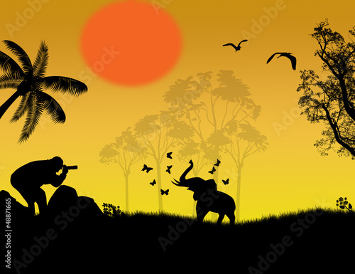 Photographer at sunset shoot a baby elephant