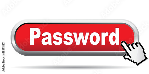 PASSWORD ICON