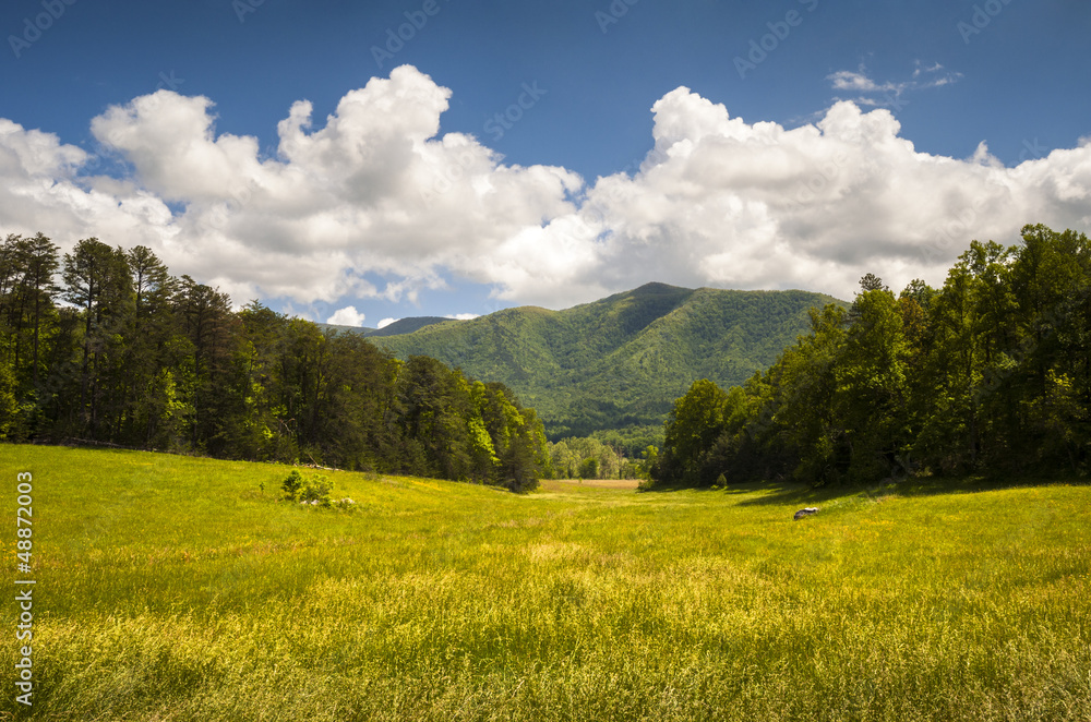 Cades Cove Great Smoky Mountains National Park Scenic Landscape