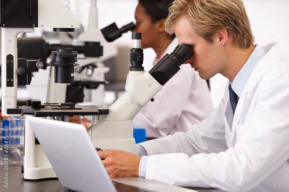 Male And Female Scientists Using Microscopes In Laboratory Male And Female Scientists Using Microscopes In Laboratory
