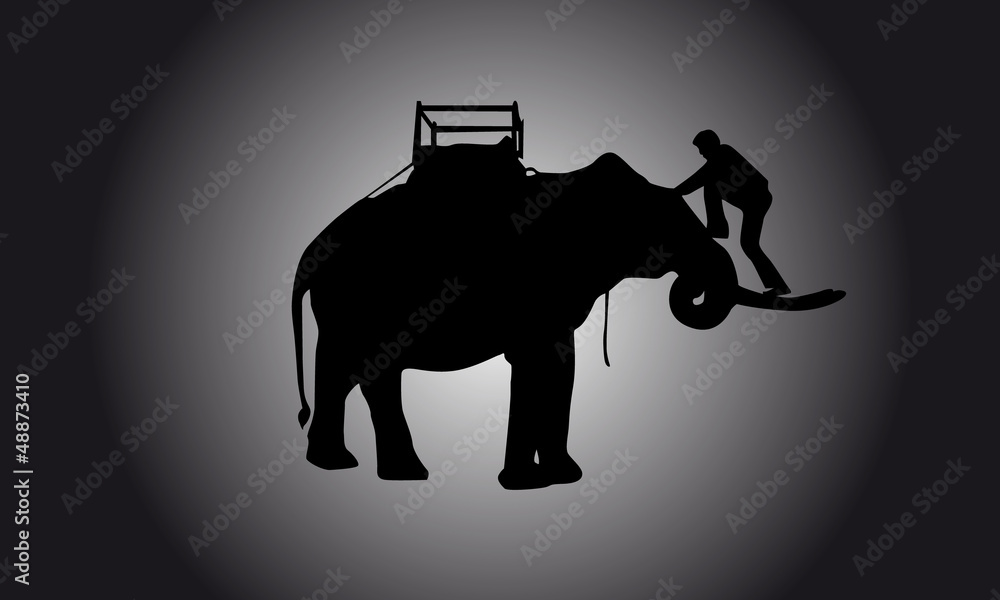 Guy crawling on elephant