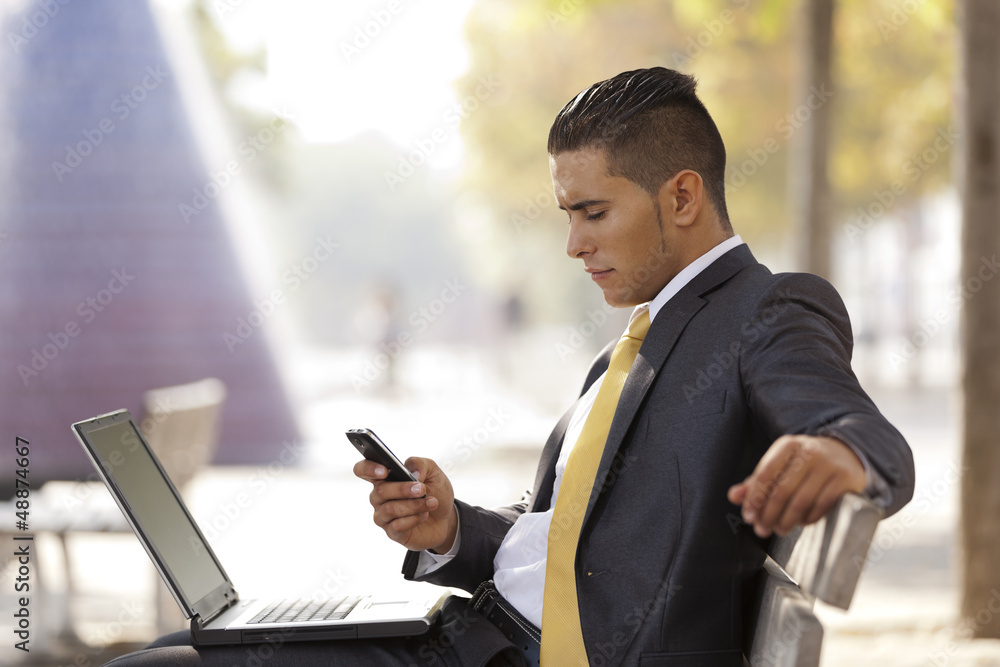 Fototapeta premium Businessman working in the park