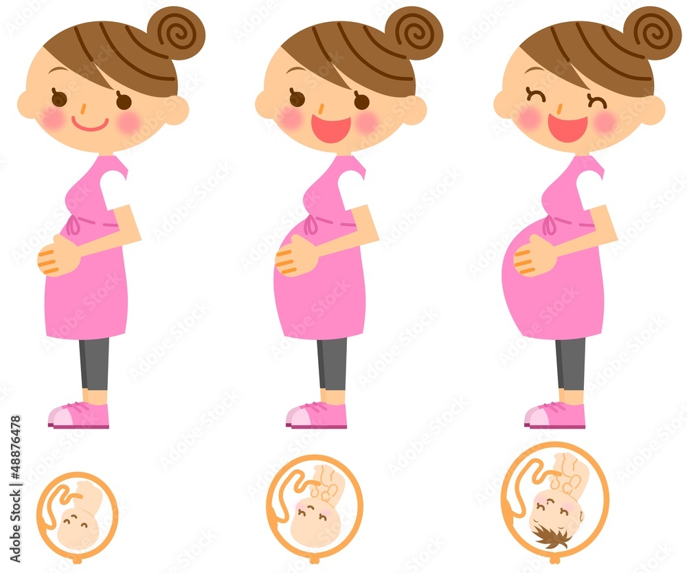 妊婦 胎児 Stock イラスト Adobe Stock