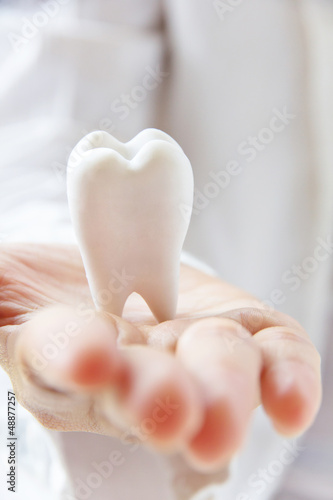 dentist holding molar  dental concept