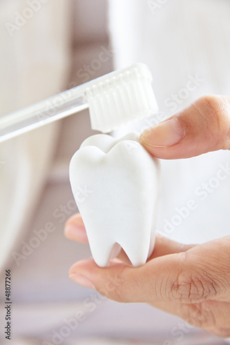 hand holding molar ,dental concept