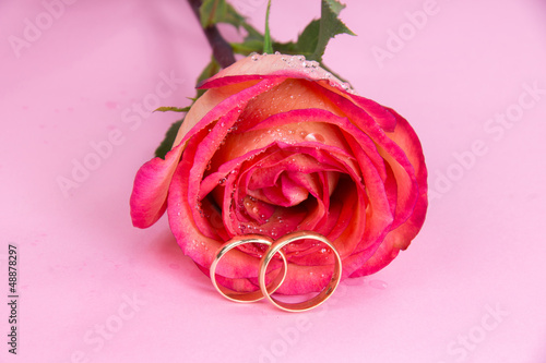 Wedding rings with rose