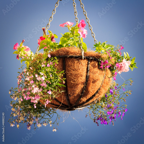 basket with flowers