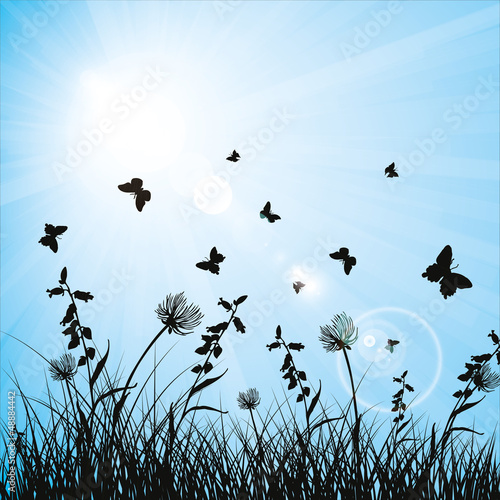 Hintergrund Himmel Sonne Natur