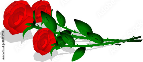 3 Rosen