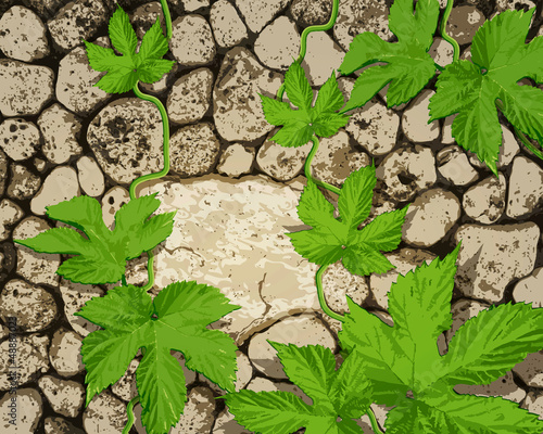 vector background with stonework and a creeping plant