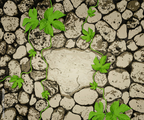 vector background with stonework and a creeping plant