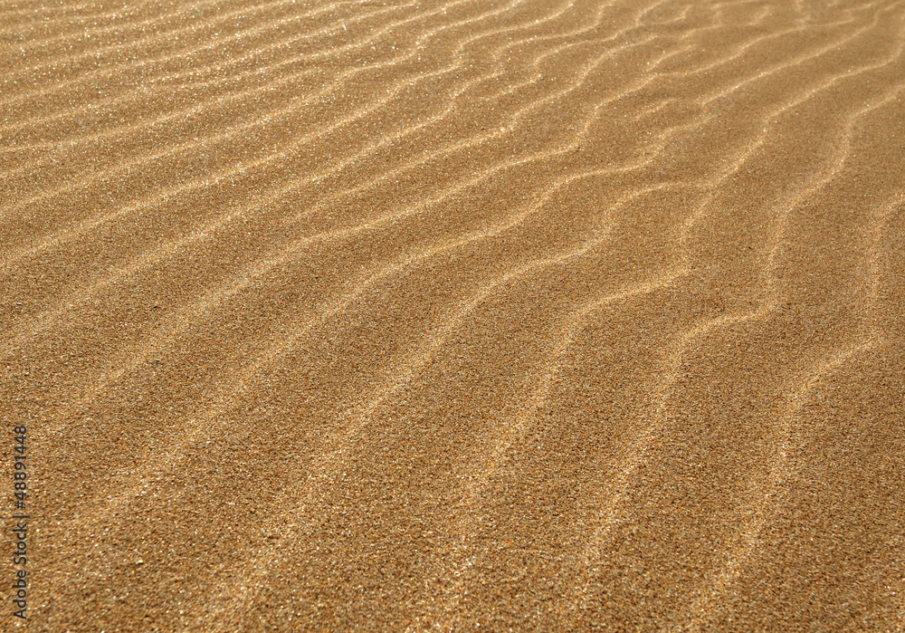 Fototapeta Golden dunes