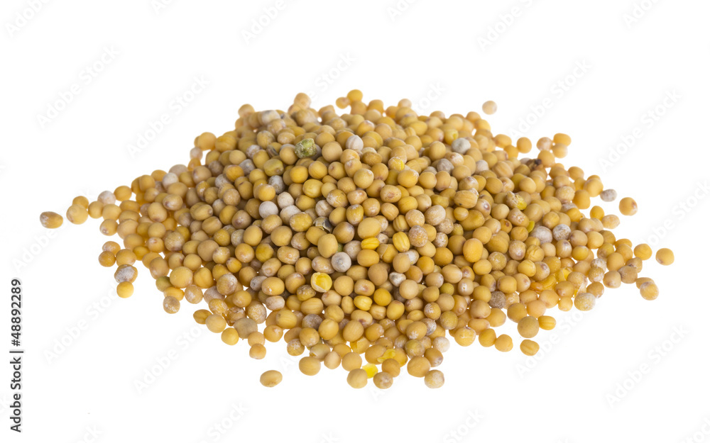 yellow mustard seeds yellow mustard seeds