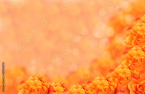 Orange flower with bokeh