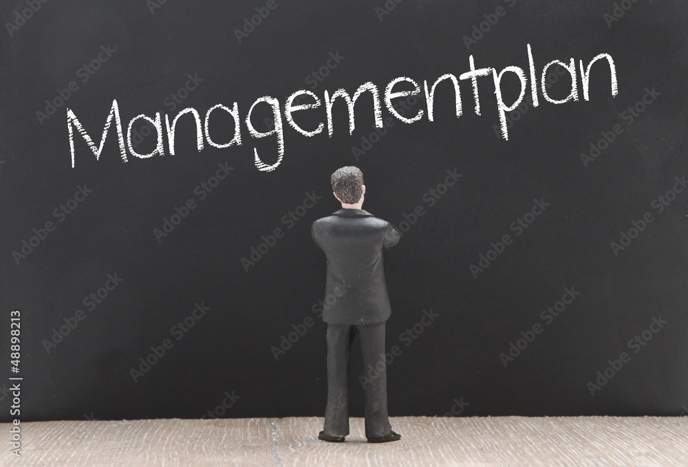 Management Plan
