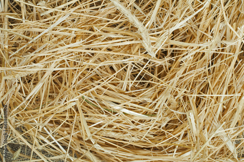 Straw close up background Straw close up background