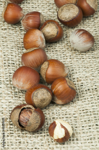 Closeup raw hazelnuts on burlap