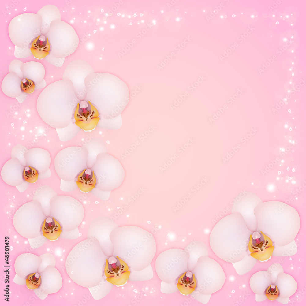 Orchids on a pink background with patches of light Orchids on a pink background with patches of light