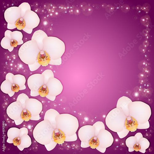 Orchids on a lilac background with patches of light