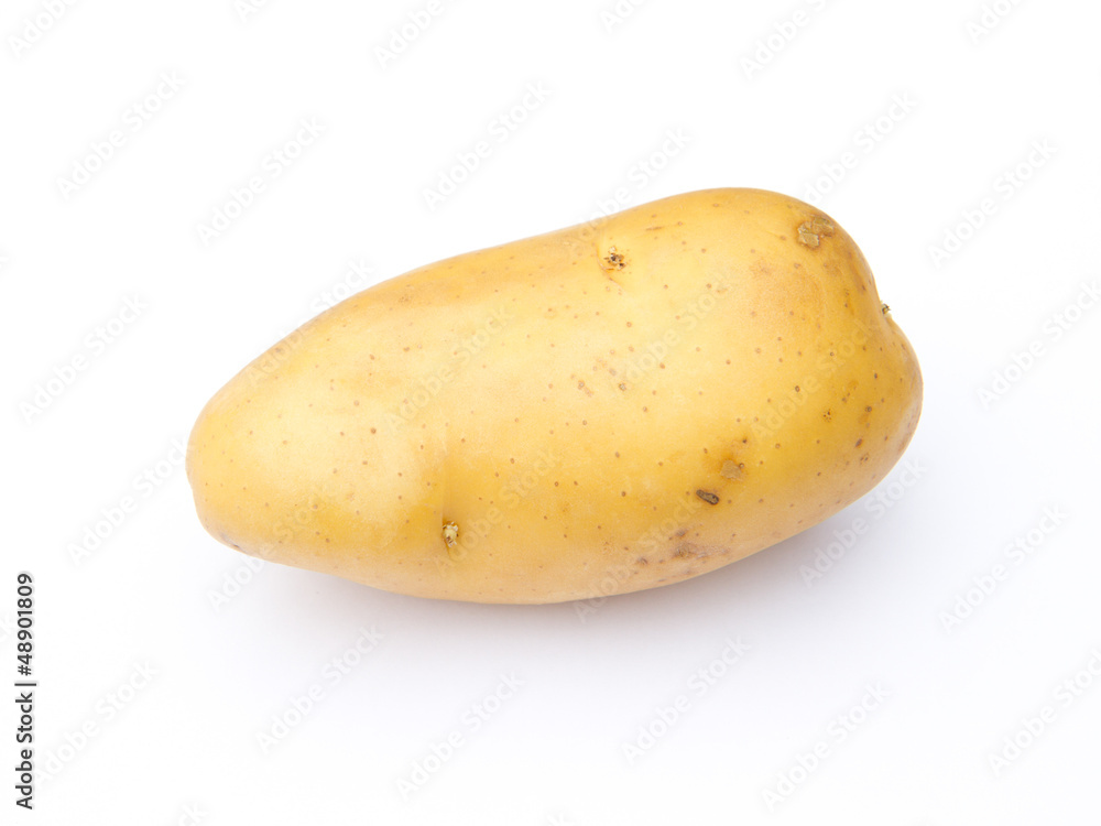 potato isolated on white background potato isolated on white background