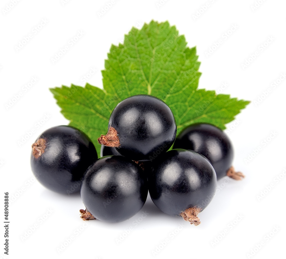 Black currants Black currants