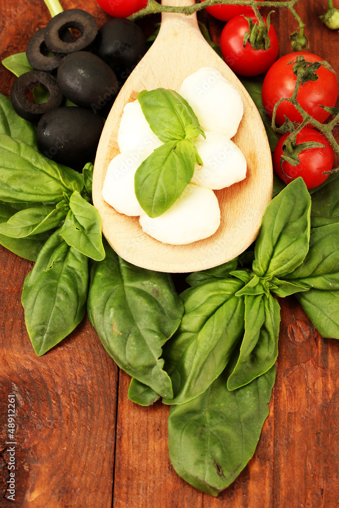 cheese mozzarella with vegetables in wooden spoon cheese mozzarella with vegetables in wooden spoon