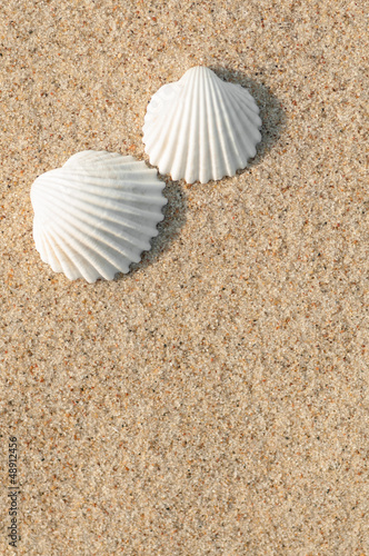 Zwei Herzmuscheln im Sand, Paar, Sommerurlaub zu zweit